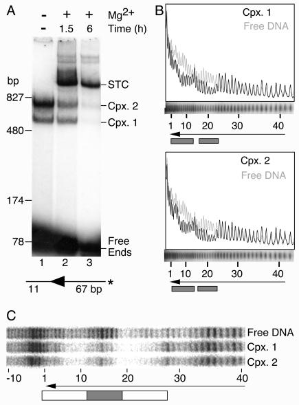 FIG. 4.