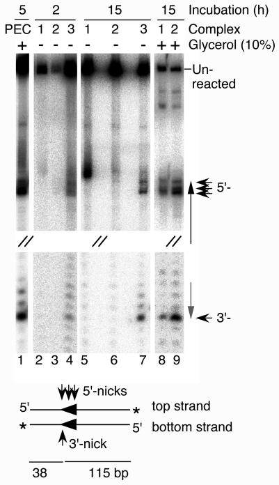 FIG. 6.