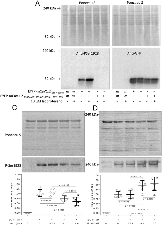 Figure 7.