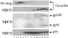 FIG. 5.