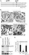 FIG. 6.