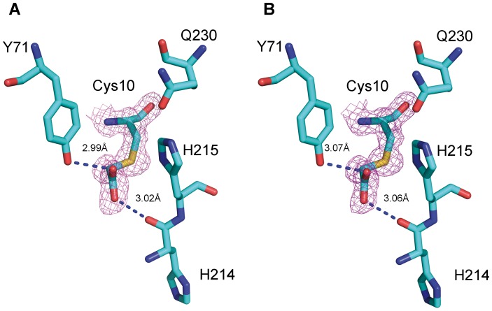 Figure 6