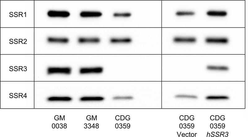 Figure 1: