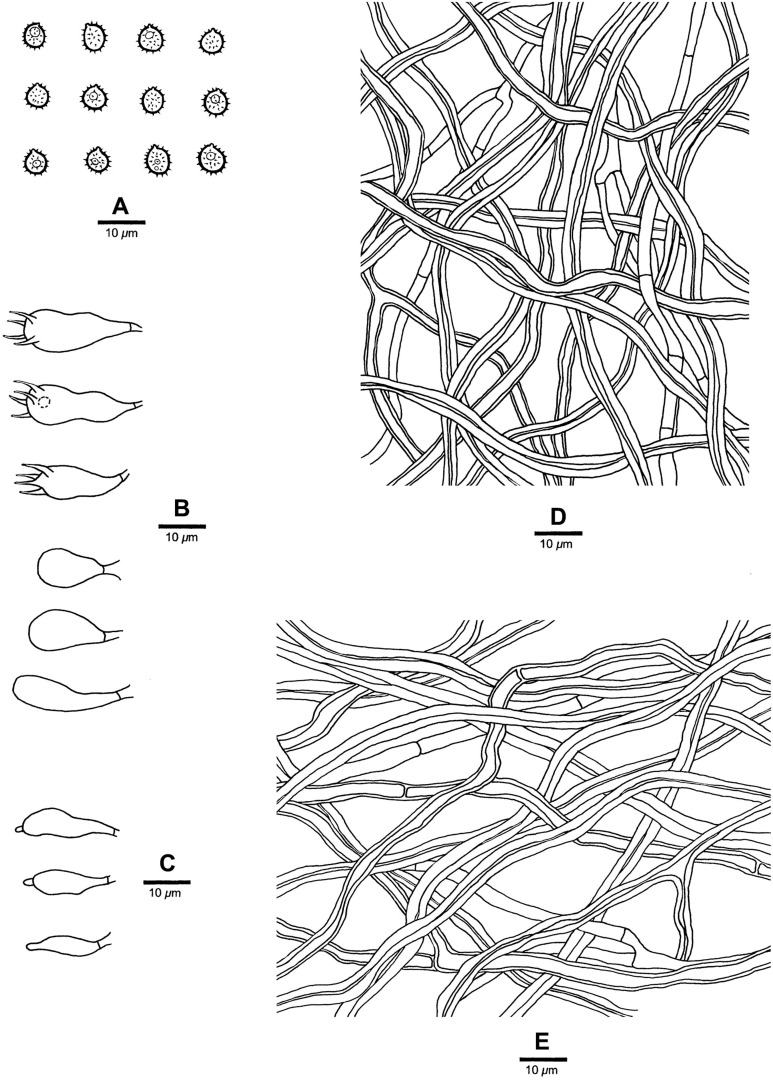 FIGURE 3