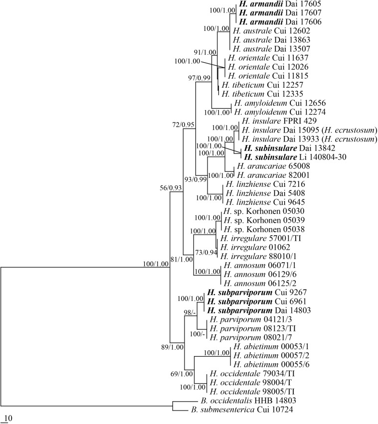 FIGURE 1