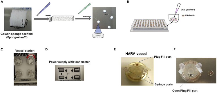 Figure 1