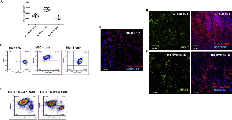 Figure 4