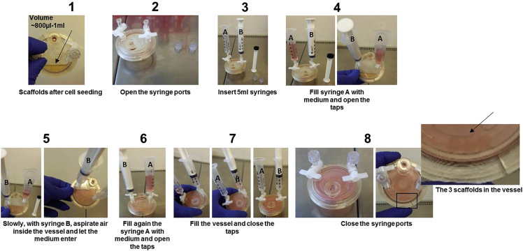 Figure 3