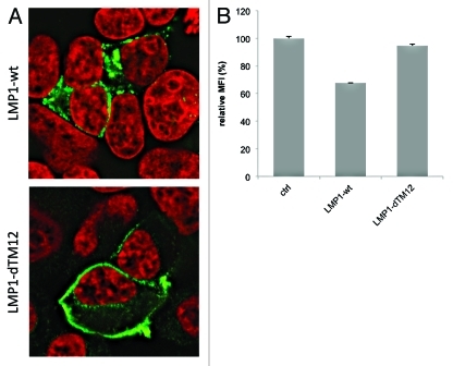 Figure 3.