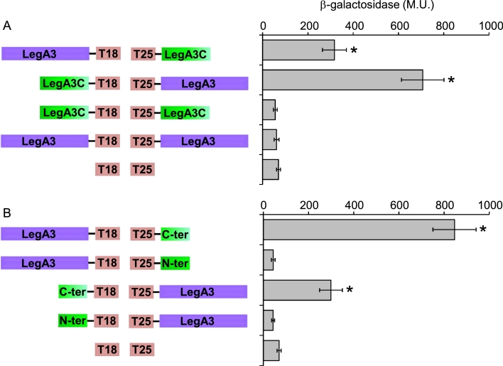 Fig 8