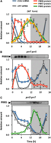 Figure 6.