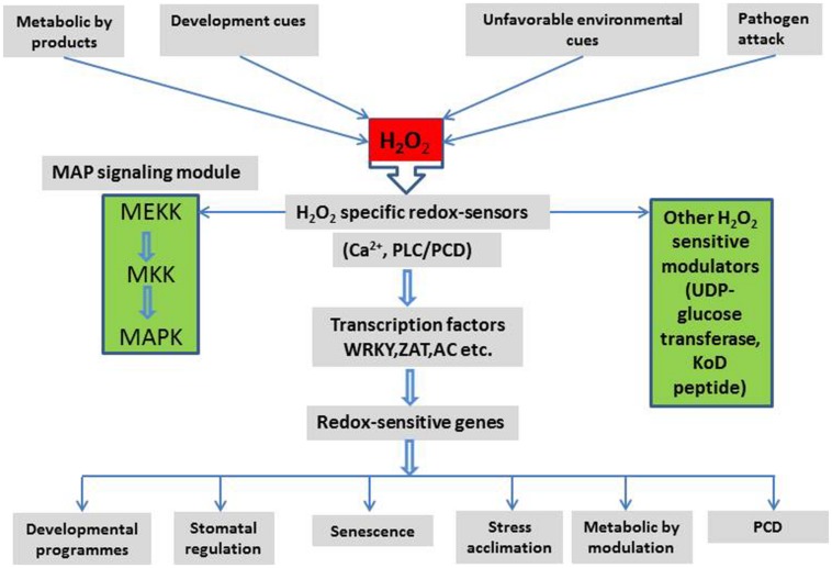 FIGURE 3