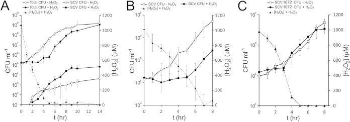 FIG 2