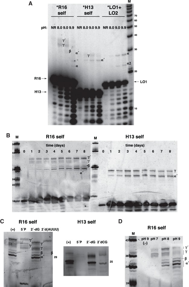 FIGURE 3.