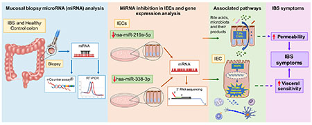 graphic file with name nihms-1675914-f0006.jpg