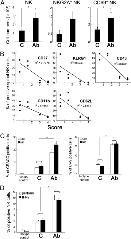 Fig. 6.