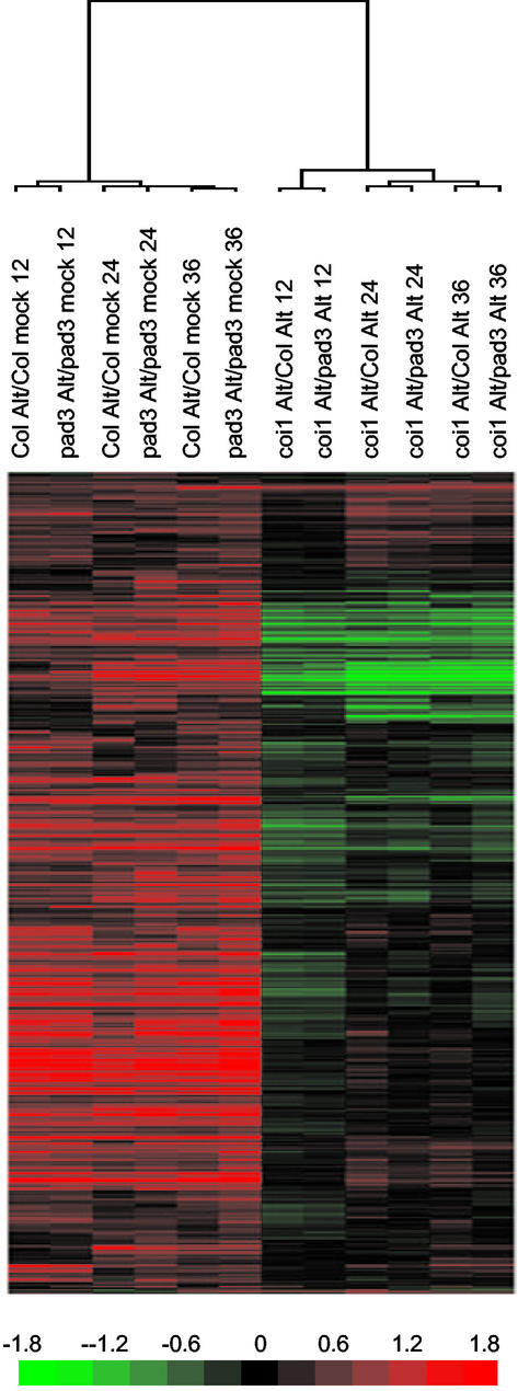 Figure 5.