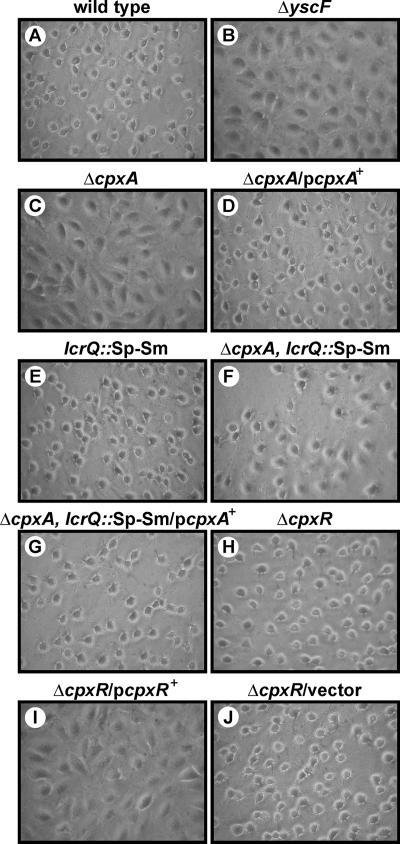 FIG. 5.