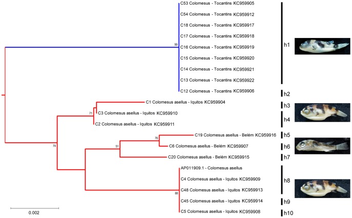 Figure 5