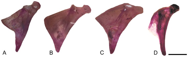 Figure 10