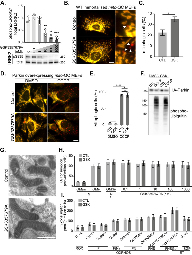 Figure 2—figure supplement 1.