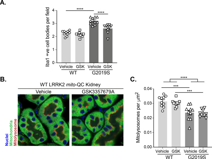 Figure 6—figure supplement 1.