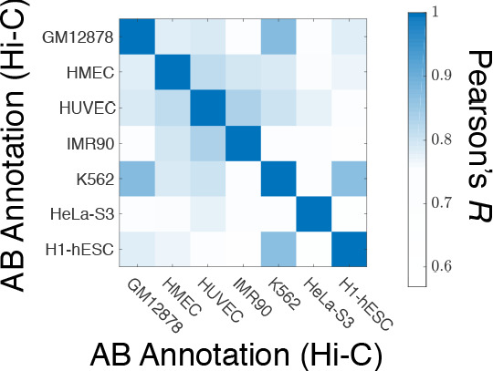 Figure 1—figure supplement 4.