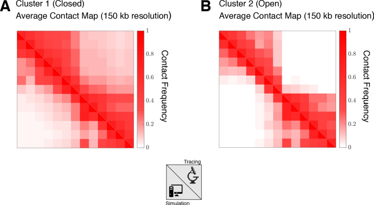 Figure 3—figure supplement 3.