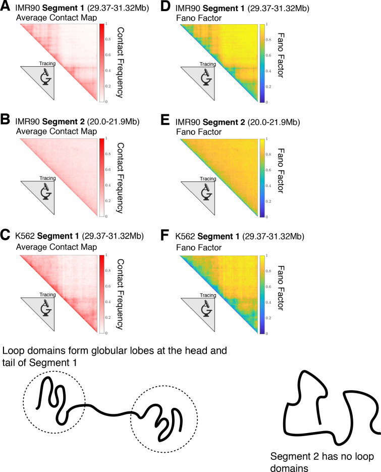 Figure 2—figure supplement 1.