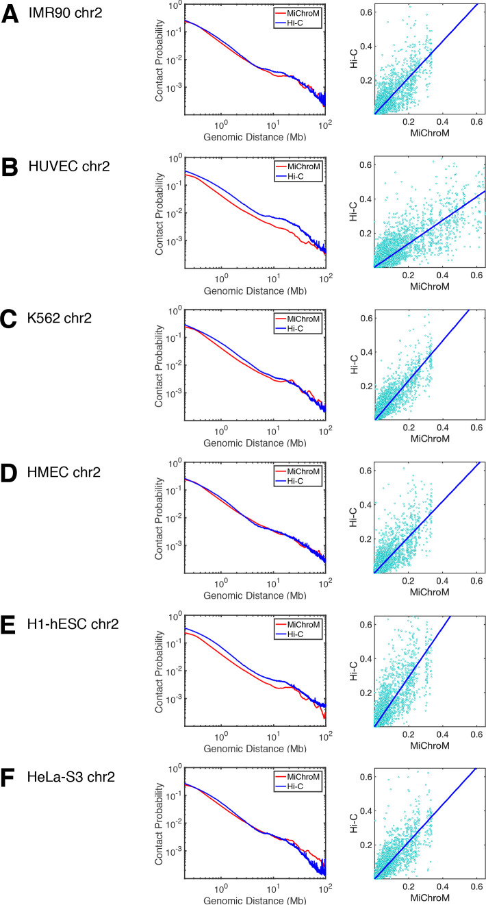 Figure 1—figure supplement 5.