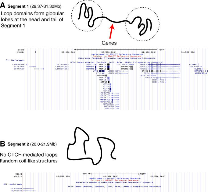 Figure 2—figure supplement 4.