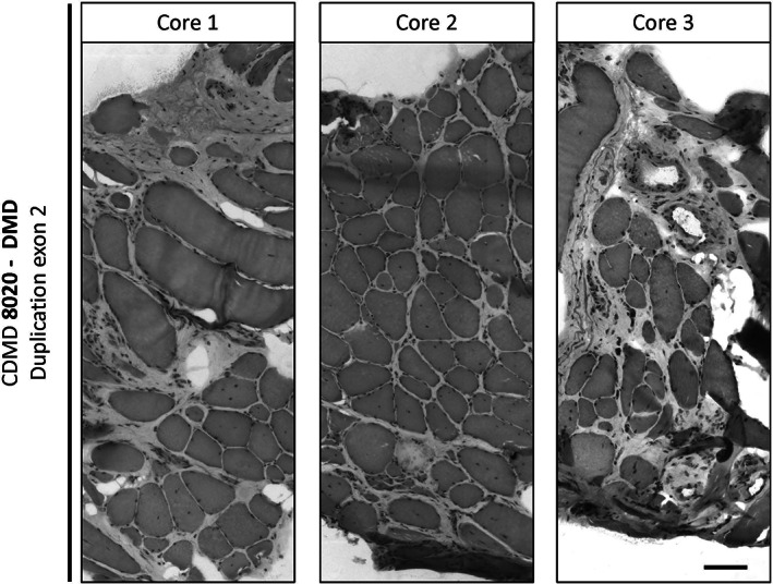 FIGURE 3