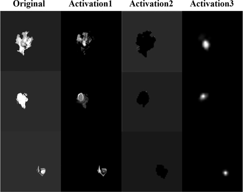 Figure 14