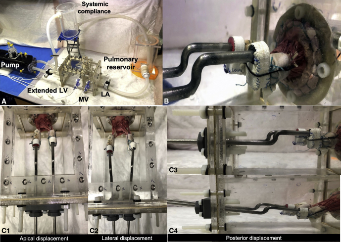 Figure 2