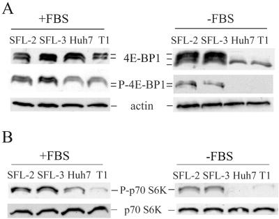 FIG. 5.