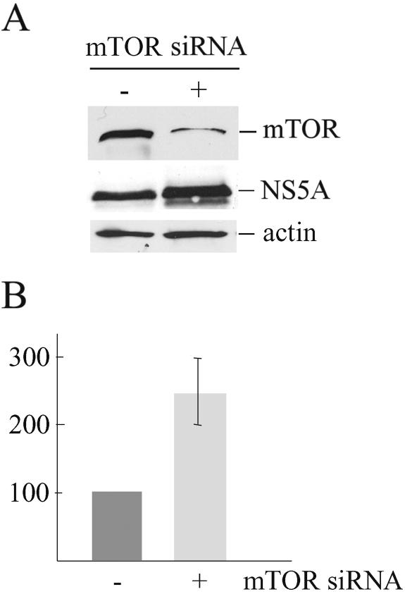 FIG. 9.