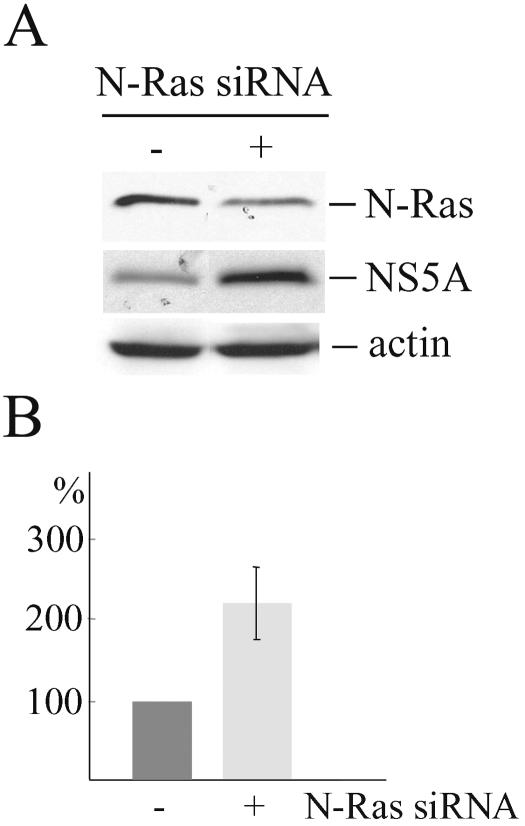 FIG. 7.