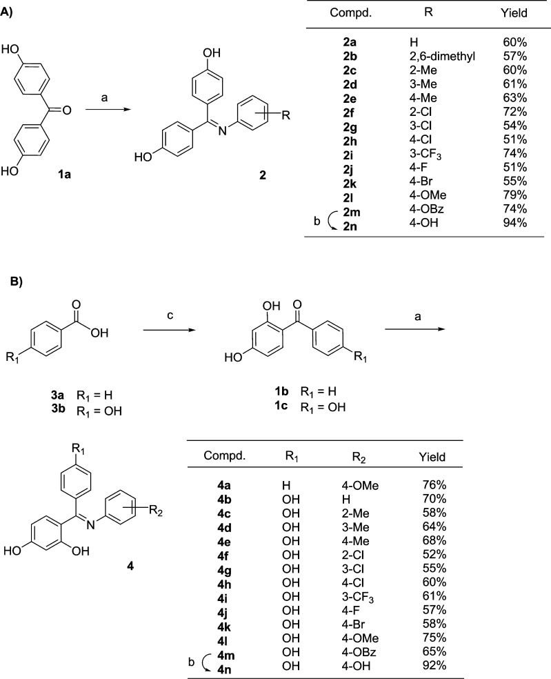 Scheme 1