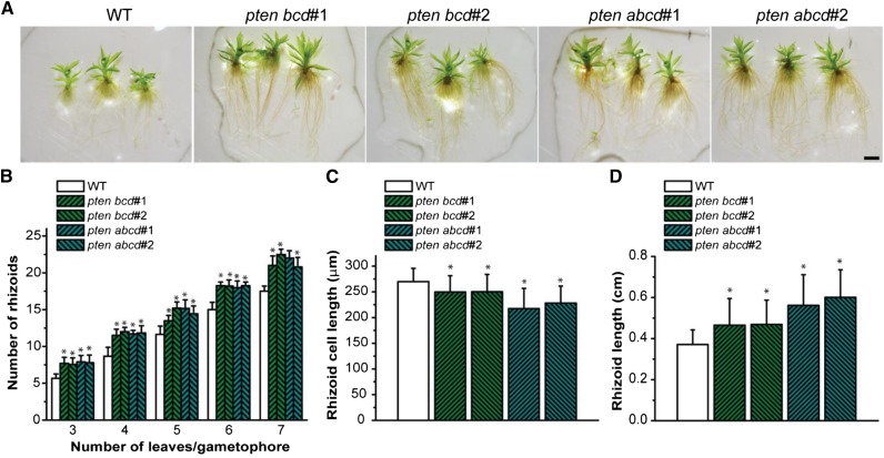 Figure 4.