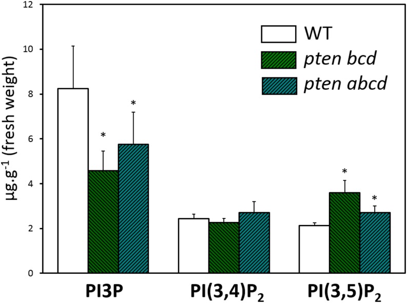 Figure 6.