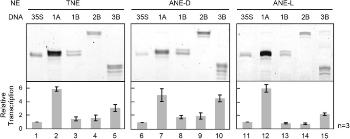 Figure 6.