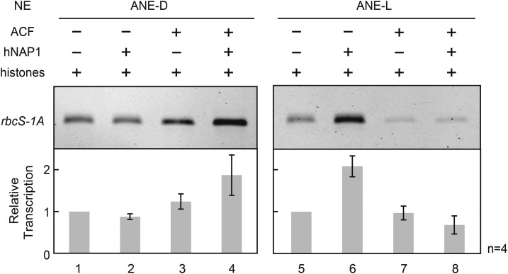 Figure 7.