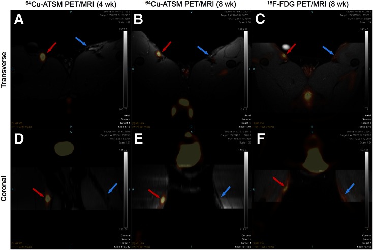 FIGURE 2.