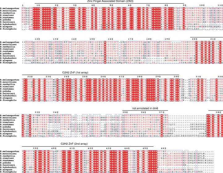 Figure 2—figure supplement 1.