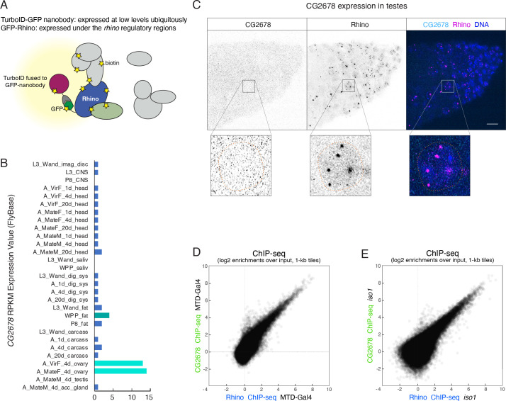 Figure 2—figure supplement 2.