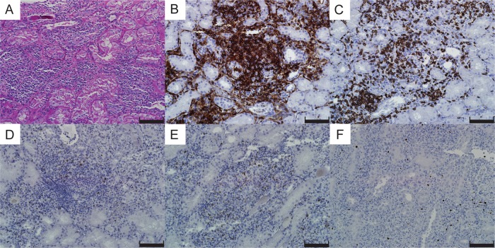 Fig. 2.