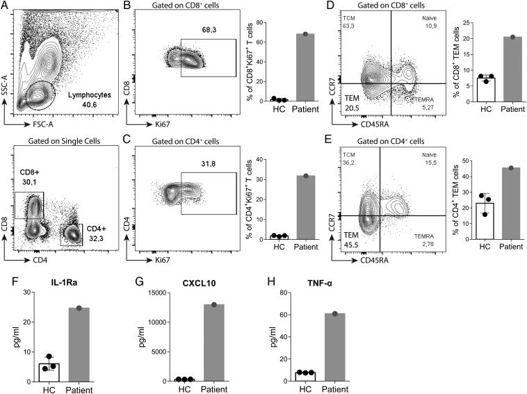 Fig. 4.