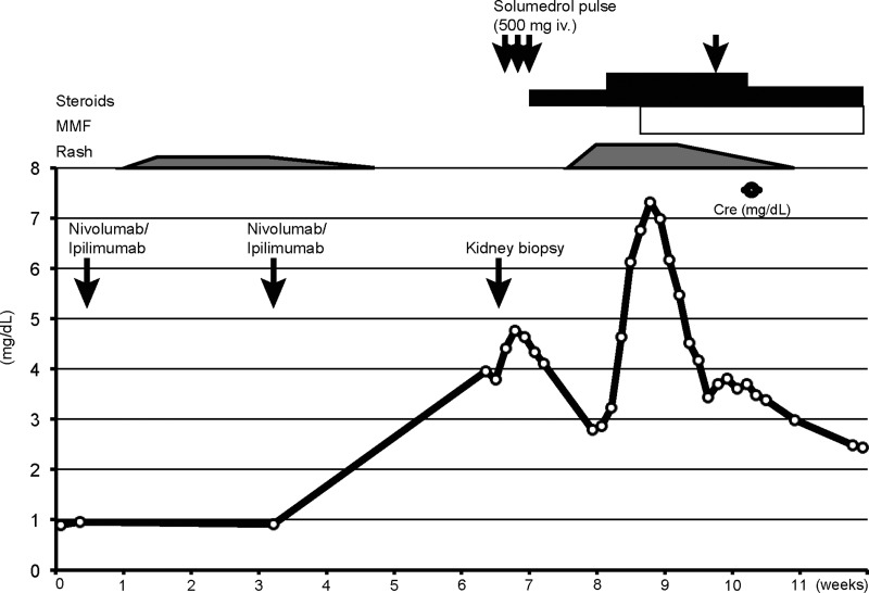 Fig. 3.