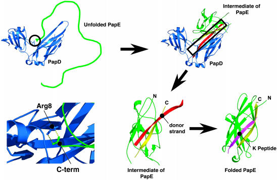 Fig. 4.