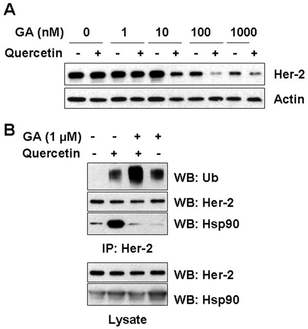 Fig. 5